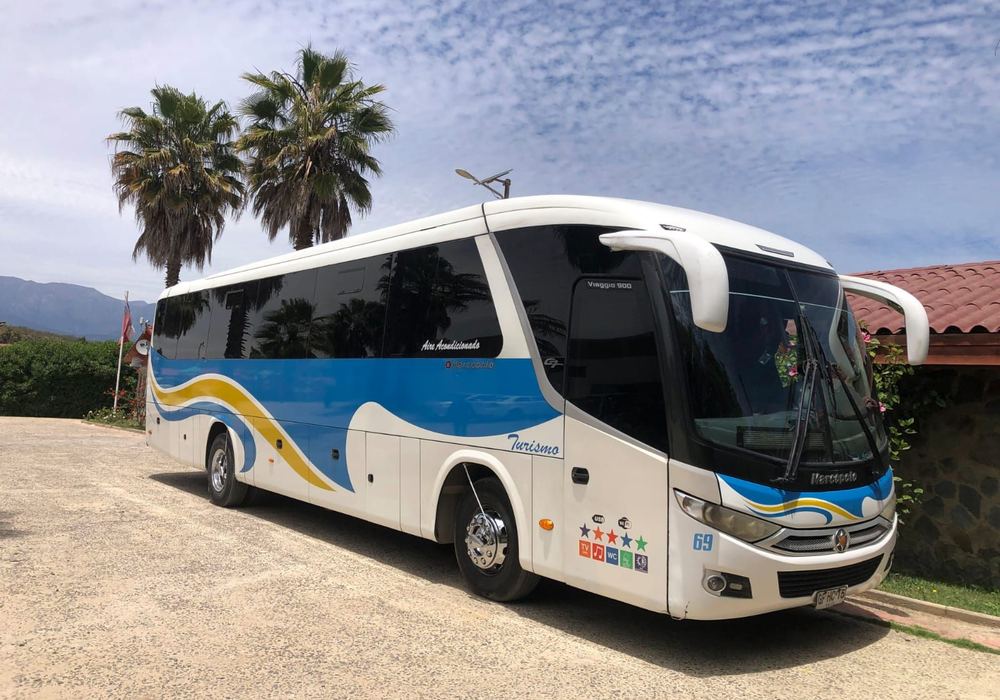 Bus ejecutivo de turismo Danyviajes blanco y azul estacionado junto a palmeras