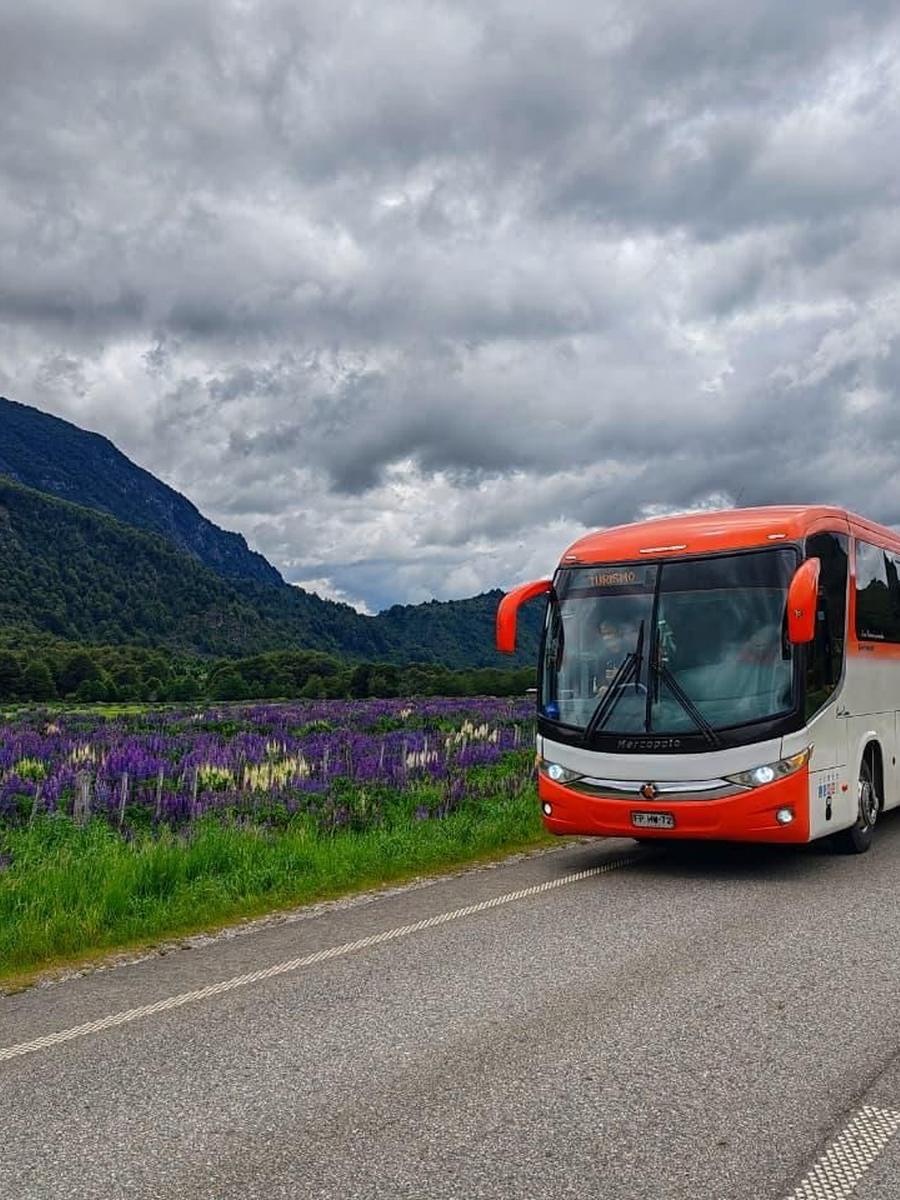 Bus de turismo Danyviajes recorriendo una carretera del sur de Chile entre lupinos y montañas
